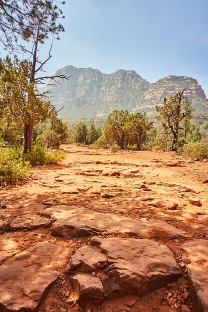 Foto camino de senderismo en el desierto de sedona con formaciones rocosas rojas