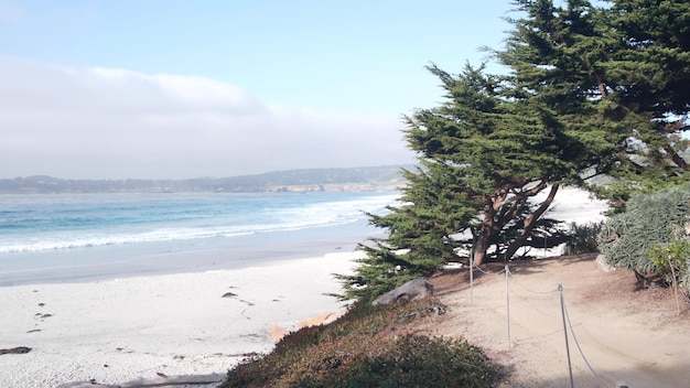 Camino sendero o sendero ocean beach costa de california frente al mar pino ciprés