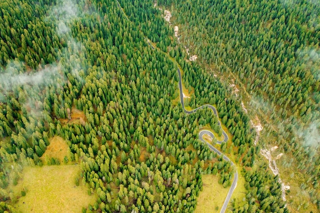 Camino de serpientes enclavado en medio de impresionantes bosques y vibrantes prados otoñales cubiertos por nubes