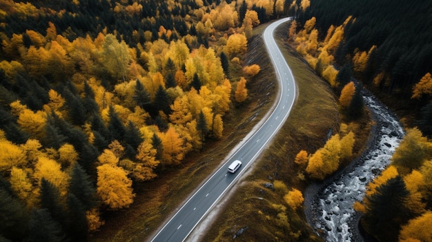 Camino sinuoso en el bosque en otoño con camión en la carretera