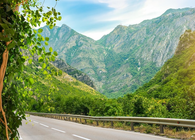 Camino sinuoso en Montenegro