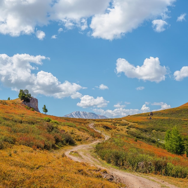 Camino sinuoso a través de montañas. Sendero de montaña de trekking. Paisaje alpino panorámico brillante con camino de tierra entre pastos en las tierras altas. Camino cuesta arriba. Camino a la ladera de la montaña.