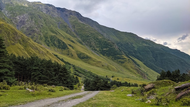 Camino solitario a las grandes montañas