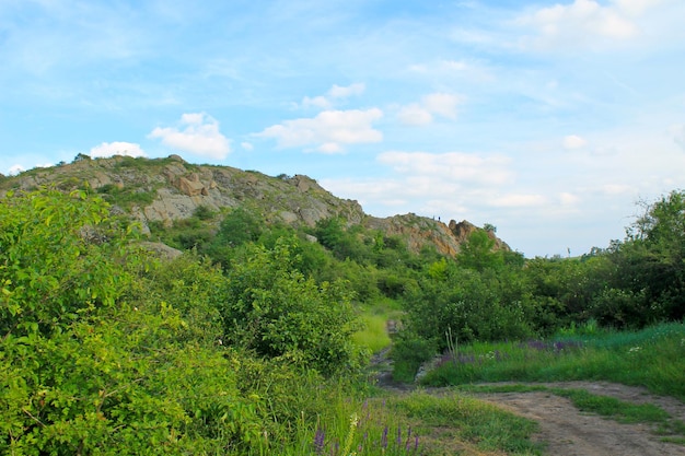 camino sucio a las rocas