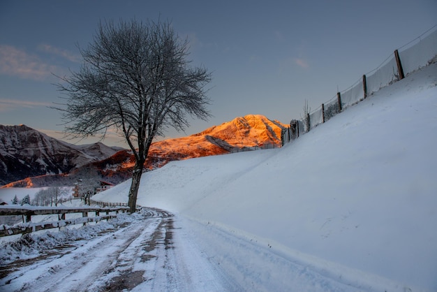 Camino sumergido en la nieve