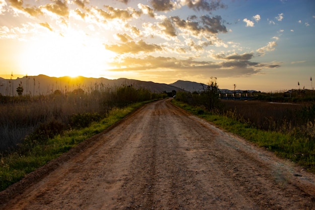 Foto camino de tierra al atardecer