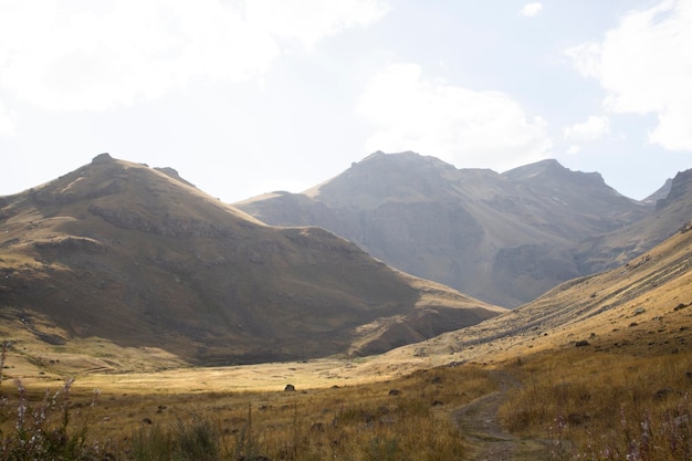 El camino de tierra atraviesa las montañas.