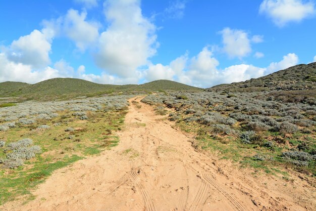 Camino de tierra y colina verde en Argentiera Cerdeña