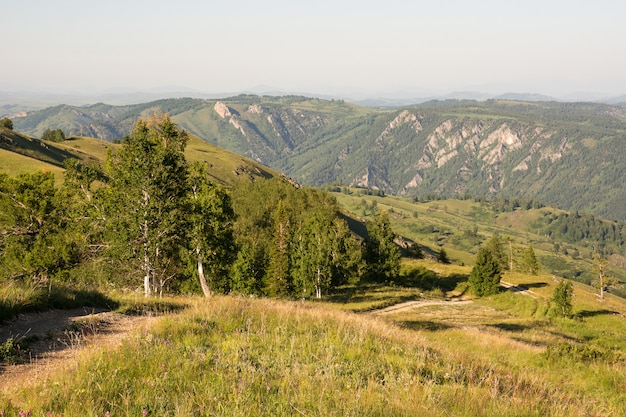 El camino de tierra conduce a las montañas.