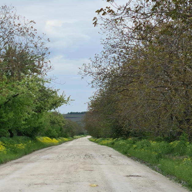 Un camino de tierra con flores amarillas a un lado y un cielo azul con nubes.