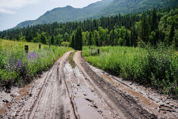 Foto un camino de tierra con granizados y charcos conduce a bosques en las montañas. paisaje escénico alpino a bosque de coníferas, gran montaña boscosa y camino fangoso entre vegetación fresca en el campo.