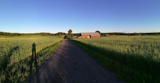 Camino de tierra en una granja contra un cielo azul claro