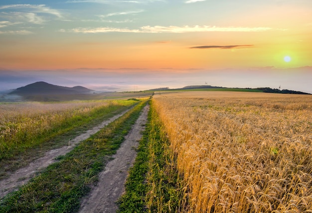 Camino de tierra de grava entre campos de trigo que se extienden hasta montañas distantes en el horizonte