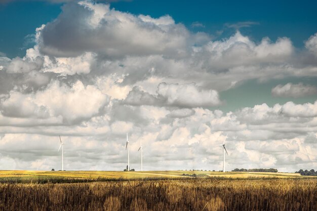 Camino de tierra con una hermosa vista de los campos de agricultores y molinos de viento bajo un cielo azul con nubes sombrías