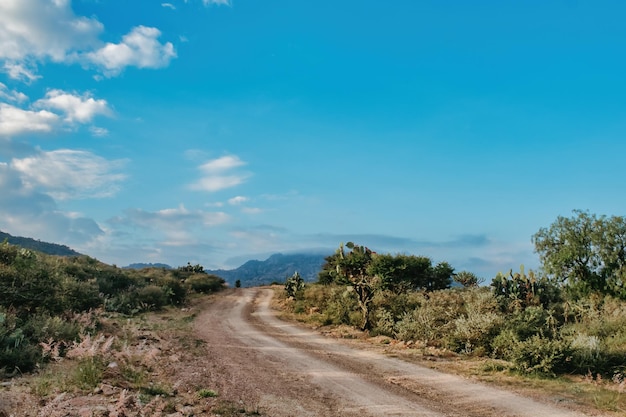 Camino de tierra con hermoso paisaje hacia el horizonte