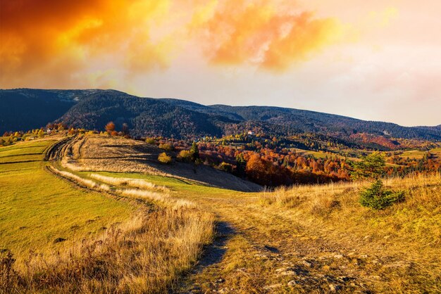 El camino de tierra y hierba se extiende en las tierras altas contra las gigantescas montañas forestales en otoño bajo el sol brillante escondido detrás de las nubes blancas