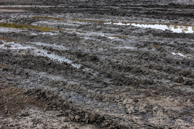 Camino de tierra húmedo negro con charcos de agua sucia a la luz del día