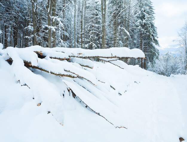 Camino de tierra de invierno nevado a través del bosque de montaña y árboles aserrados