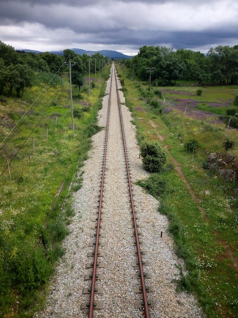 Foto camino de tierra a lo largo de la vía ferroviaria