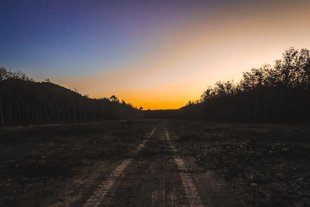 Foto camino de tierra en medio de árboles contra un cielo despejado durante la puesta de sol