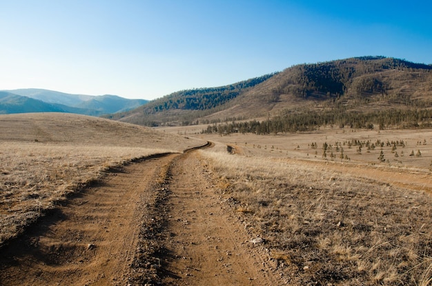 Un camino de tierra en medio del campo se adentra en la distancia hacia las montañas y el bosque