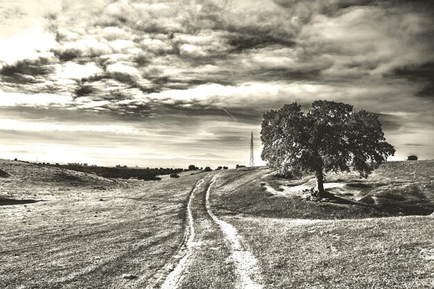 Camino de tierra en medio de un campo contra un cielo nublado durante un día soleado