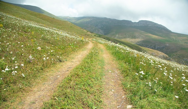 Camino de tierra en la naturaleza Armenia Verano