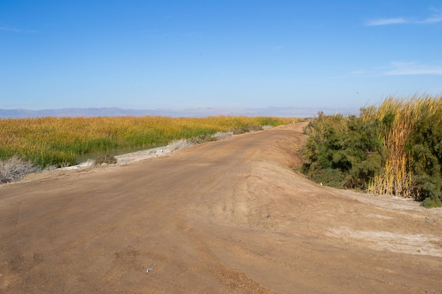 Camino de tierra de praderas en Palm Desert California