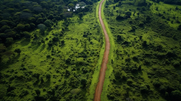 un camino de tierra que atraviesa un exuberante campo verde