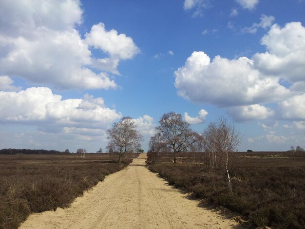 Foto camino de tierra que pasa por el campo