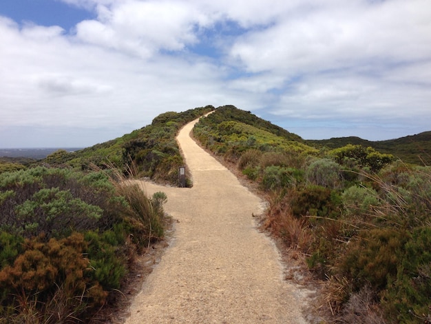 Camino de tierra que pasa por el paisaje