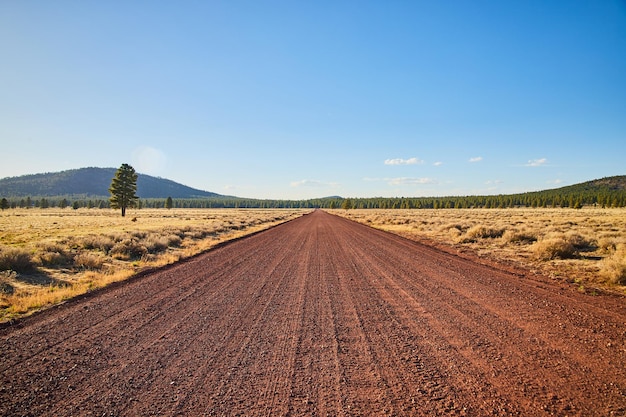 Camino de tierra roja en el paisaje desértico que conduce directamente al horizonte