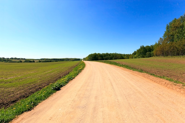 Foto camino de tierra rural en bielorrusia. temporada de primavera