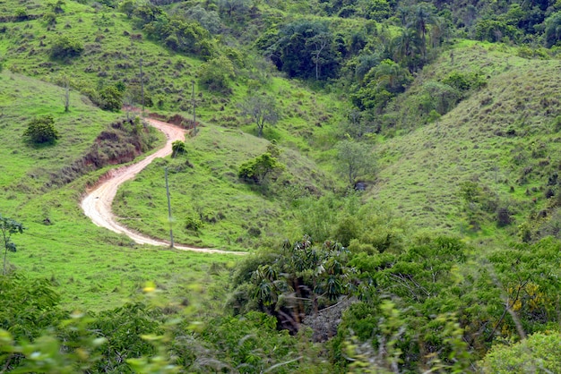 camino de tierra sinuoso a través de una montaña verde