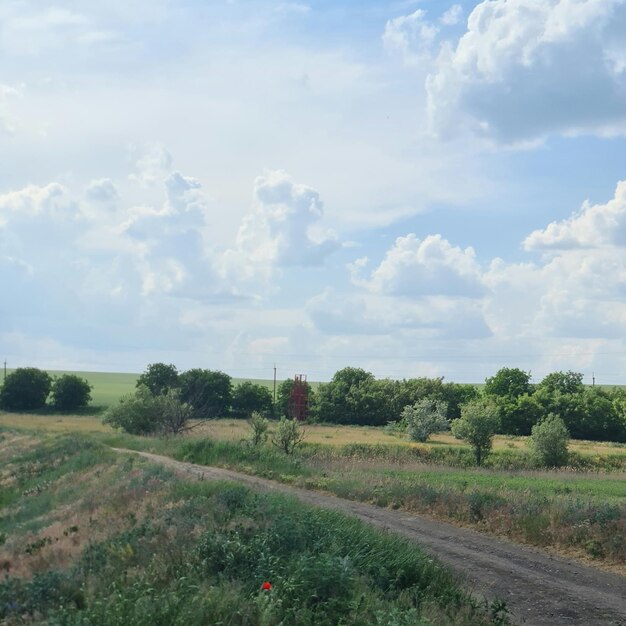 Un camino de tierra a través de un campo