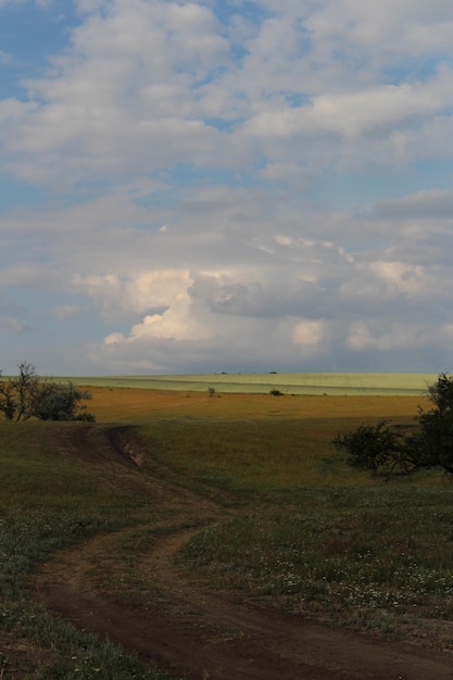 Un camino de tierra a través de un campo