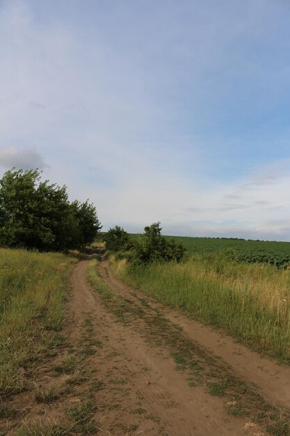 Un camino de tierra a través de un campo