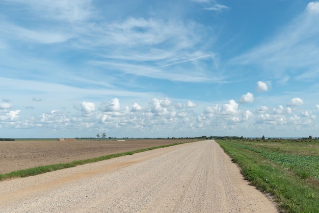 Camino de tierra vacío a través de los campos Nubes esponjosas en un cálido verano Día soleado sobre un campo de trigo Naturaleza pura lejos de la gran ciudad Ecoturismo