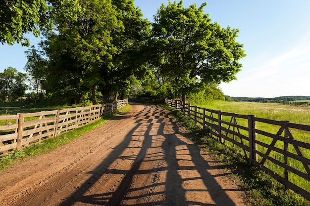 Camino de tierra en la zona rural de la finca. encerrado por una valla de madera