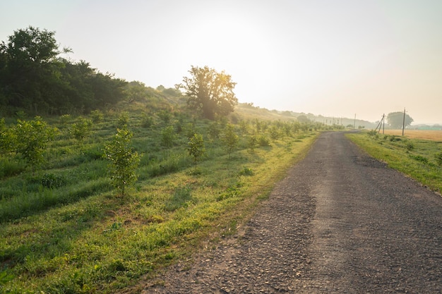 Camino de tierra