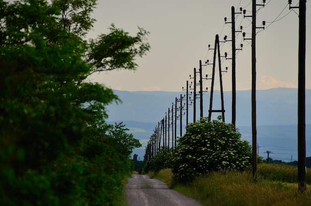 Camino con torres de electricidad