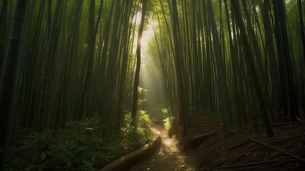 Un camino a través de un bosque de bambú con el sol brillando a través de los árboles.