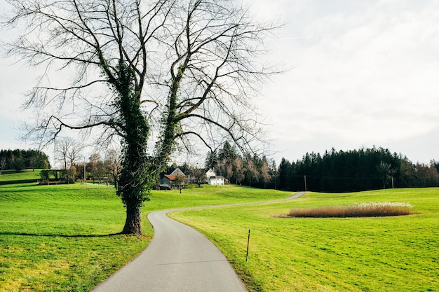 Un camino a través de una granja en Alemania en primavera