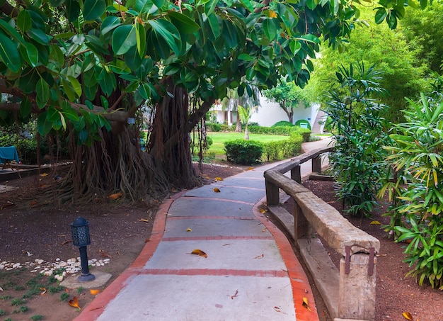 Un camino a través de un hermoso parque en Turquía