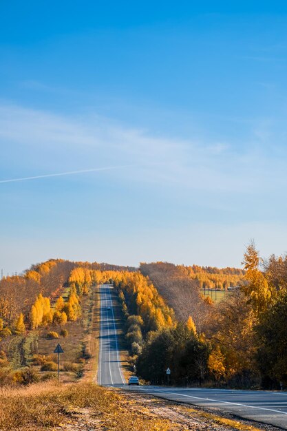 Camino a través de hermosos campos y bosques otoñales de colores