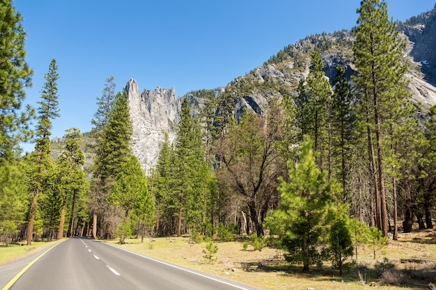 El camino a través del Parque Nacional de Yosemite, California, EE.UU.