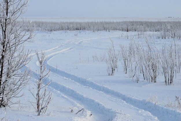 El camino a través de tierras vírgenes cubiertas de nieve en una mañana de enero KhantyMansiysk Siberia Occidental