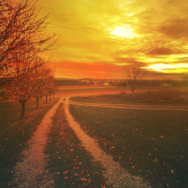 Foto camino vacío al atardecer