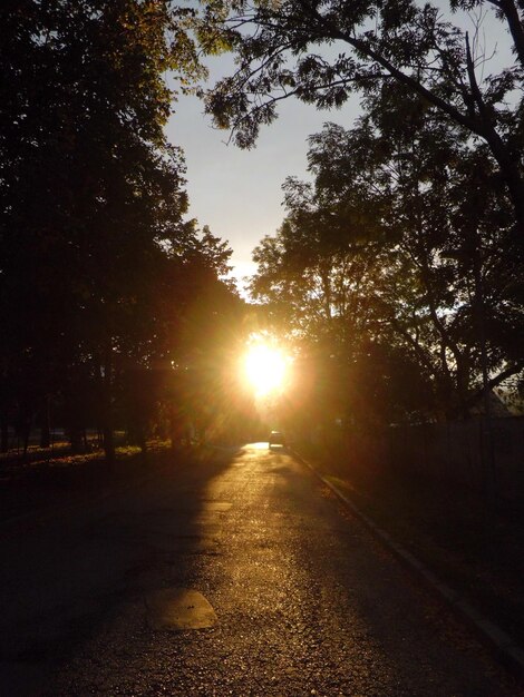 Foto camino vacío al atardecer