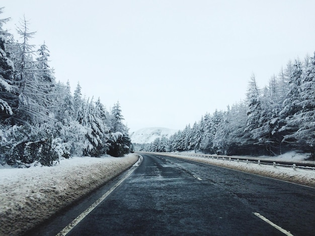 Camino vacío en invierno